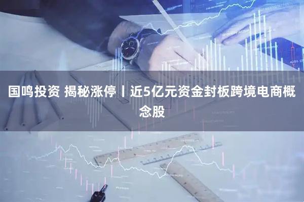 国鸣投资 揭秘涨停丨近5亿元资金封板跨境电商概念股